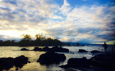 ANOTHER BLUE HAWAIIAN DAY